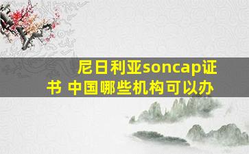 尼日利亚soncap证书 中国哪些机构可以办